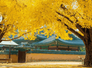 韩国外贸数据,外贸数据,PA真人视讯外贸数据 韩国外贸数据,外贸数据,PA真人视讯外贸数据